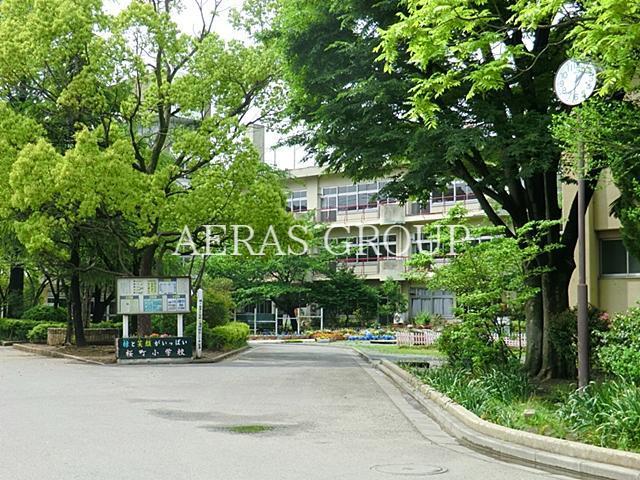 小学校　川口市立桜町小学校（小学校）まで667m