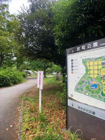 公園　反町公園（公園）まで672m