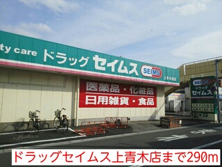 その他　ドラッグセイムス上青木店まで290m