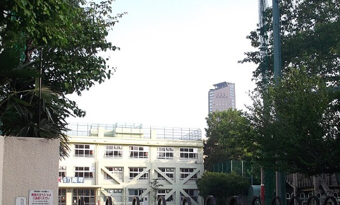 小学校　渋谷区立猿楽小学校（小学校）まで645m