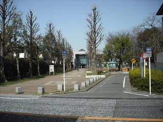 その他　高津図書館（その他）まで850m