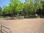 公園　蕨市民公園（公園）まで160m