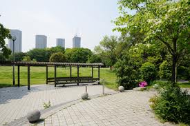 公園　東雲緑道公園（公園）まで98m