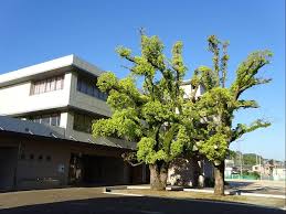 小学校　稲沢市立下津小学校（小学校）まで995m