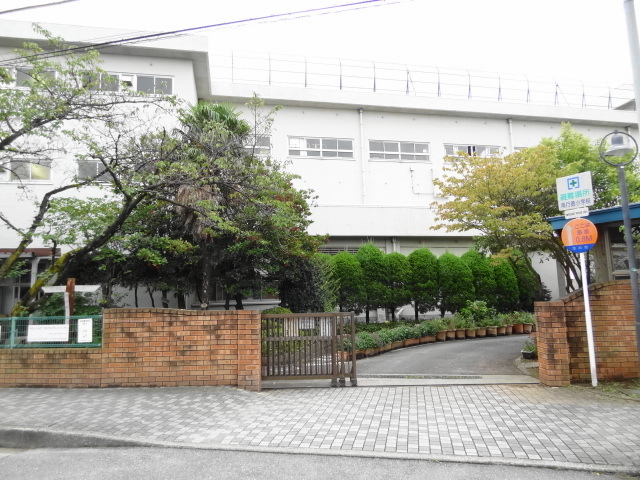 小学校　市川市立南行徳小学校（小学校）まで543m