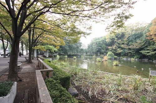 公園　後谷公園（公園）まで247m