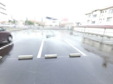 カスタリアVのその他写真