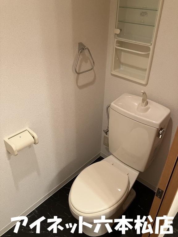 地下鉄七隈線 薬院駅 徒歩6分 10階建 築22年のトイレ写真