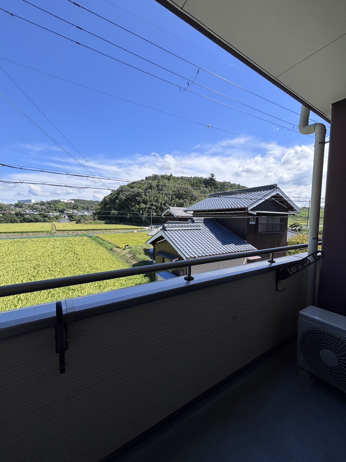 ＪＲ福知山線 三田駅 バス乗車時間：45分 最寄りバス停で下車 徒歩15分 2階建 築23年の内装写真