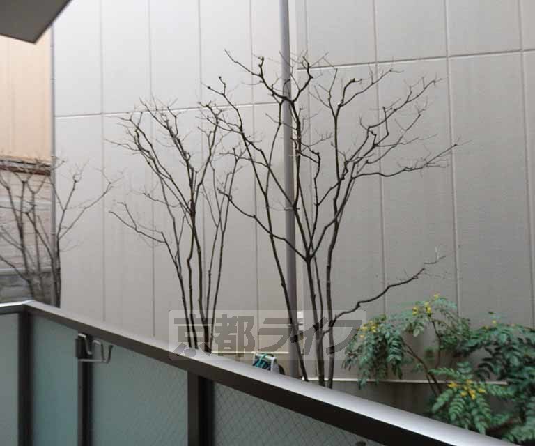 眺望　・１５７号室からの眺望です