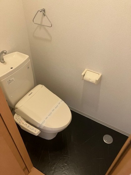 脇コーポ徳丸のトイレ写真