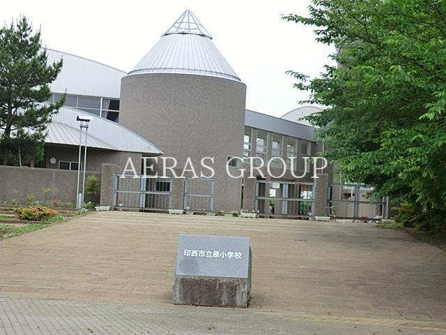小学校　印西市立原小学校（小学校）まで708m