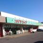 ドラックストア　スギドラッグ二重堀店（ドラッグストア）まで743m