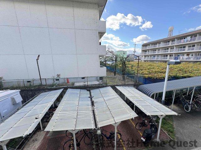 パナグレープのその他写真