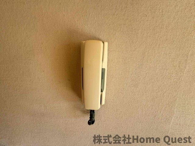 パナグレープのその他写真