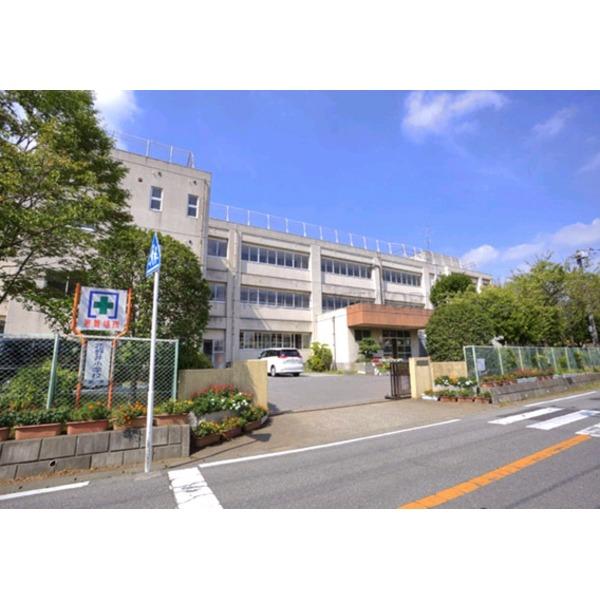 小学校　柏市立 花野井小学校（小学校）まで584m