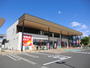 ドラックストア　ツルハドラッグ仙台太子堂店（ドラッグストア）まで600m
