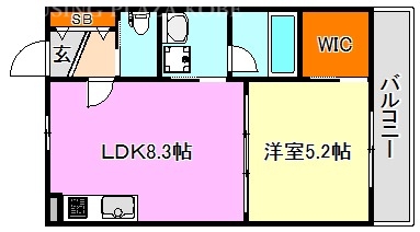 神戸市須磨区大手町のアパートの間取り