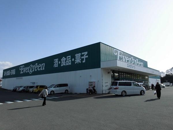 ドラックストア　エバグリーン 西庄店（ドラッグストア）まで779m