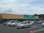 スーパー　ツルヤ　並柳店（スーパー）まで1100m