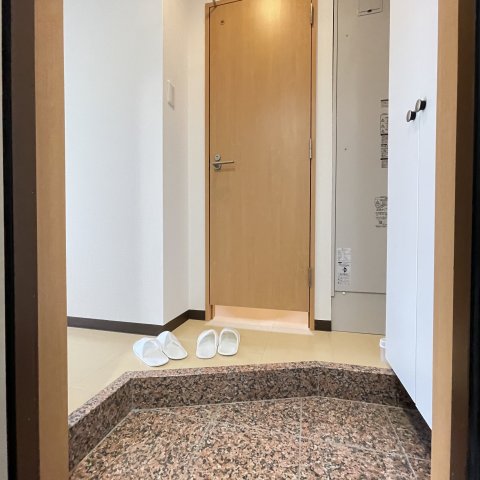 玄関　同仕様タイプです