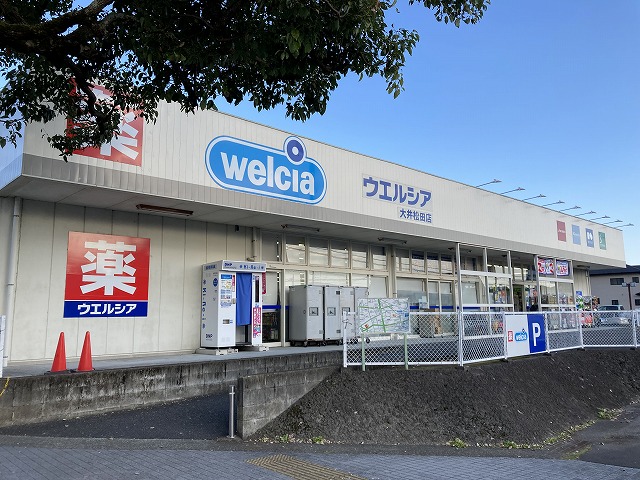 ドラックストア　ウエルシア大井松田店（ドラッグストア）まで393m