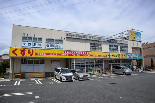 ドラックストア　どらっぐぱぱす 奥戸店（ドラッグストア）まで787m