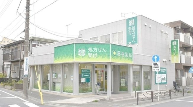 ドラックストア　薬樹薬局/梶ヶ谷（ドラッグストア）まで490m