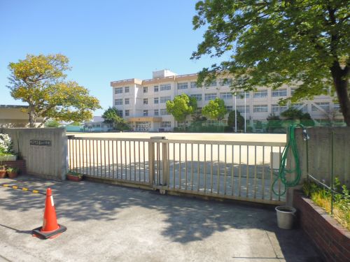 小学校　明石市立 藤江小学校（小学校）まで1506m