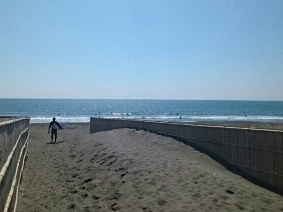 その他　茅ヶ崎海岸（その他）まで590m
