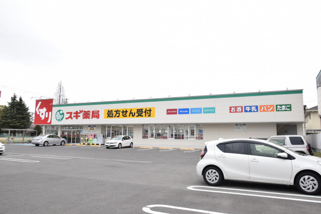 ドラックストア　スギ薬局　姫路中央店（ドラッグストア）まで744m