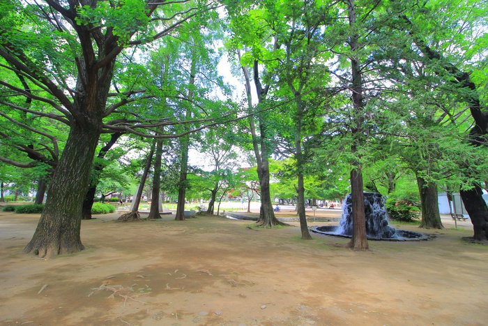 公園　板橋平和公園（公園）まで303m
