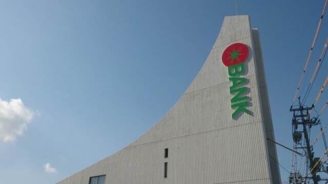 銀行　トマト銀行野田支店（銀行）まで462m