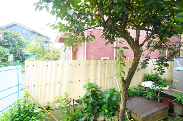 眺望　お部屋前には緑があるので、心癒されますね☆