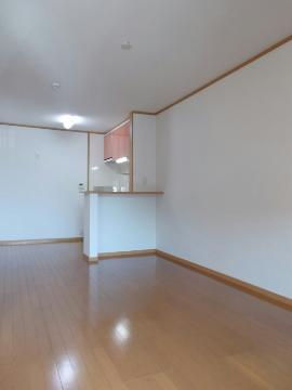 居室・リビング　カウンターキッチン仕様