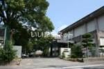小学校　豊前八屋小学校（小学校）まで1806m