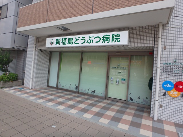 病院　新福島どうぶつ病院（病院）まで713m