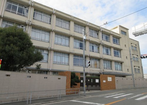 小学校　東井高野小学校（小学校）まで161m