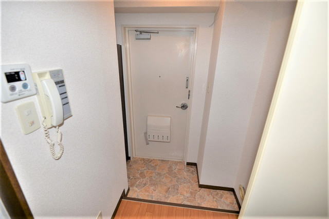 玄関　写真は同マンションの別のお部屋のものです