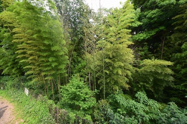 眺望　★お問い合わせはタウンハウジングまで★