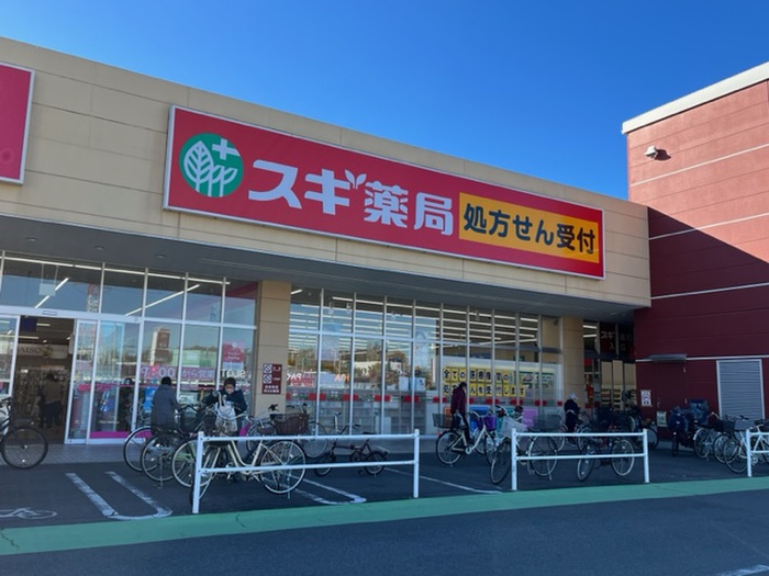 ドラックストア　スギ薬局　北入曽店（ドラッグストア）まで1200m