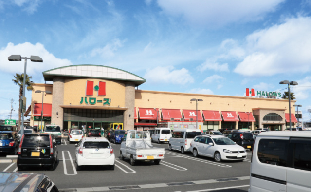 スーパー　ハローズ東古松店（スーパー）まで717m
