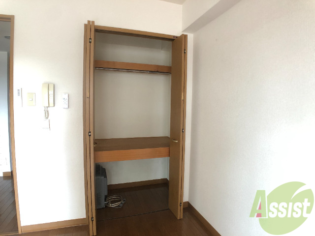 収納　クローゼットはここだけ。中の広さが気になります。