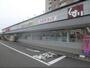 ドラックストア　スギ薬局西大路店（ドラッグストア）まで1100m