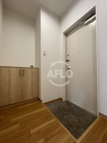 玄関　アネールエレ江戸堀　玄関