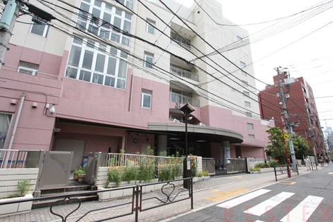 小学校　文京区立本郷小学校（小学校）まで218m