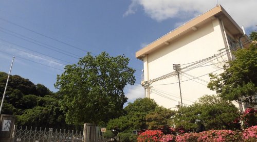 小学校　大分市立桃園小学校（小学校）まで768m