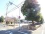 公園　新北野公園（公園）まで300m
