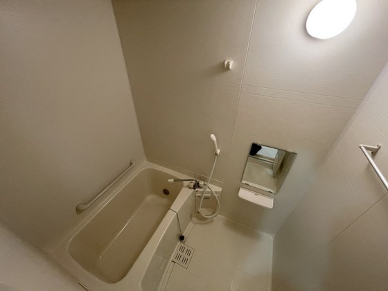 バス・シャワールーム　※別部屋の写真です