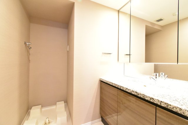 洗面設備　居住中のため別部屋参考